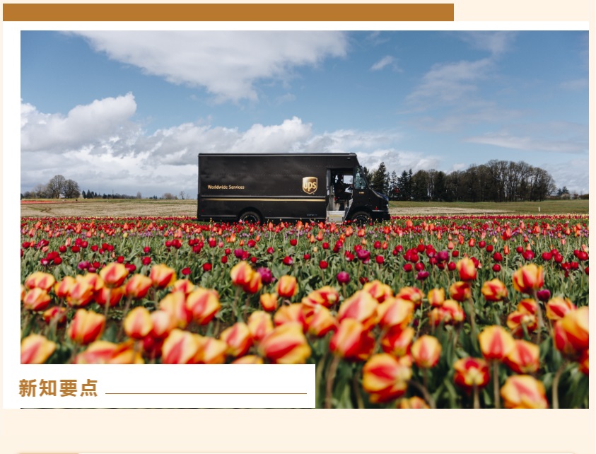 UPS���ʿ��