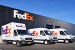FedEx������