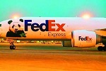 FEDEX联邦国际快递服务