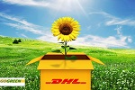 Խ��DHL���ʿ�ݹ�˾ Խ��DHL���ʿ������ רע��������
